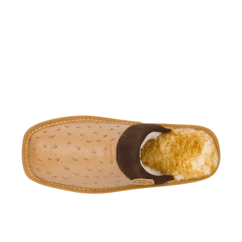 Load image into Gallery viewer, Ariat Silversmith Exotic Top View