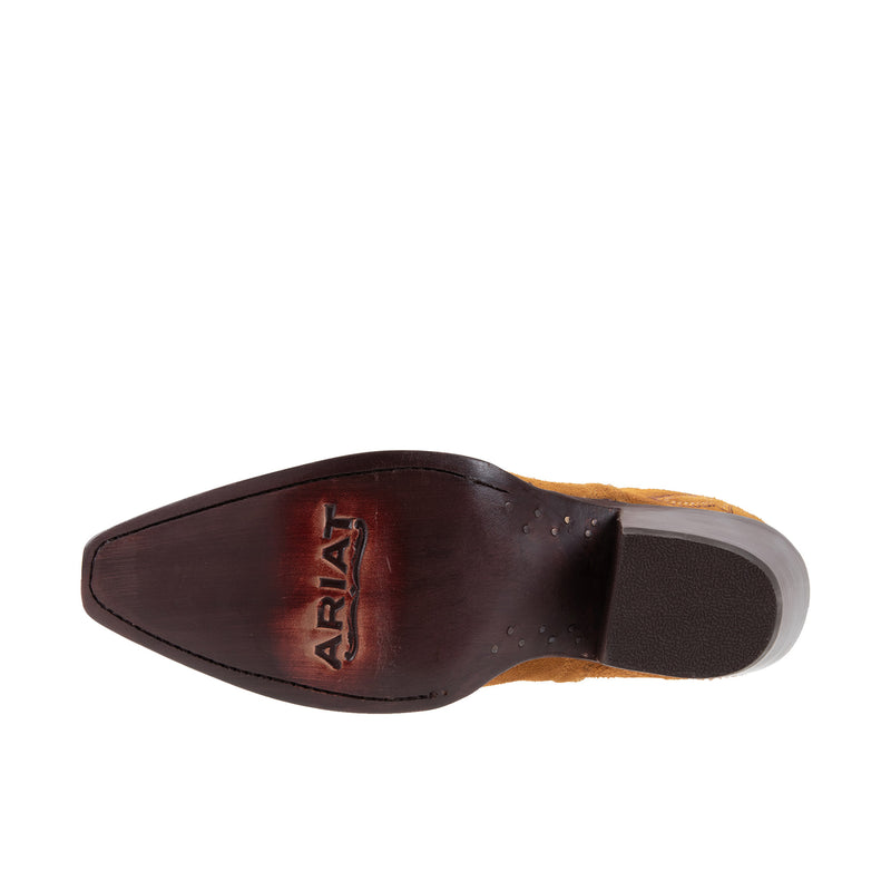 Load image into Gallery viewer, Ariat Womens Dixon Gilded Suede
